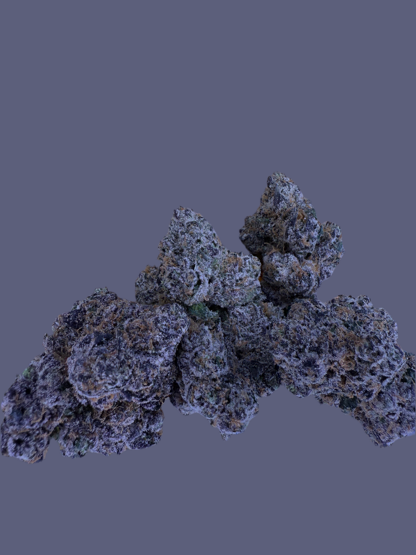 Bubblegumz