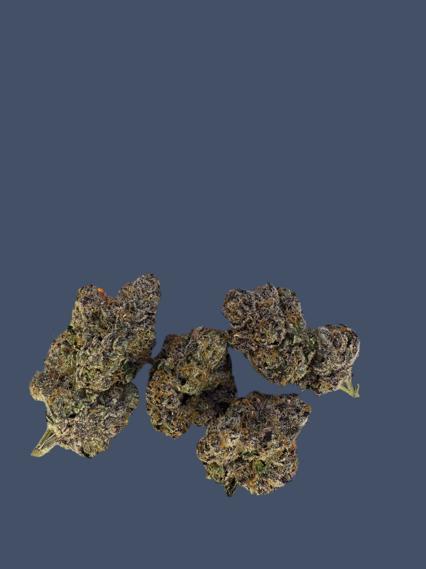 Bubblegumz