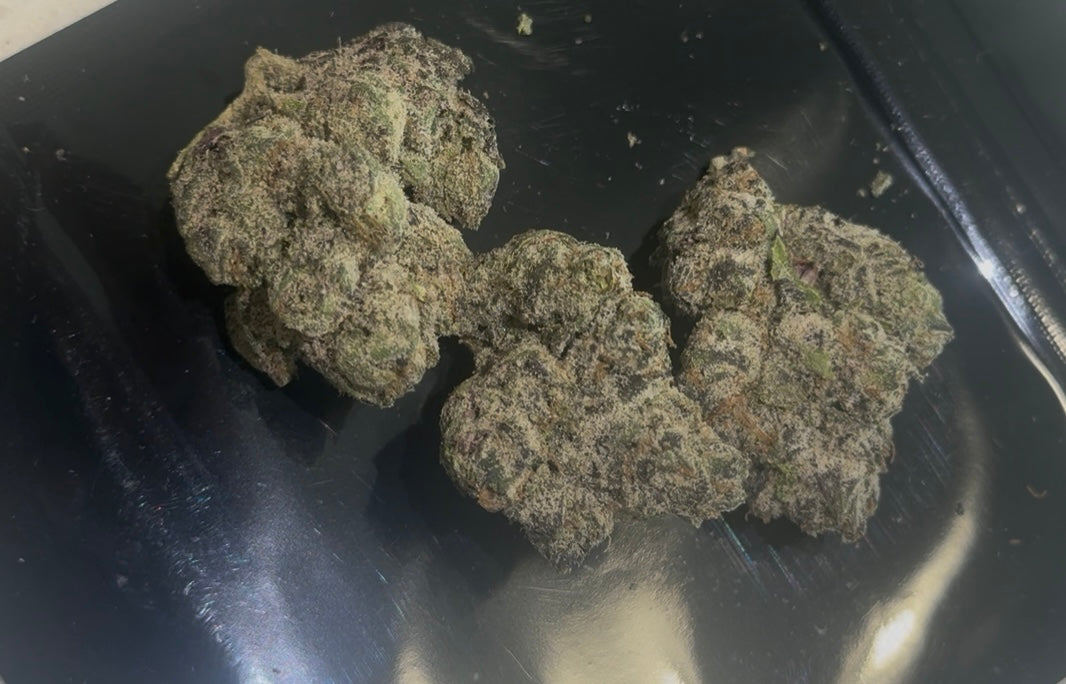 SUPER NERDZ 🔥🔥 in stock