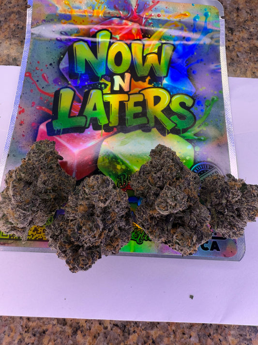 NOW N LATERZ NEW! NOT SOLD OUT